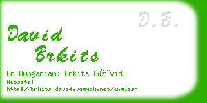 david brkits business card